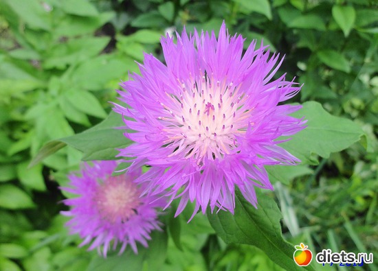 73 ����: ����� � ����-�������� ����!