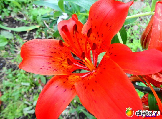 75 ����: ����� � ����-�������� ����!