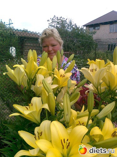 Просто так, альбом: Я