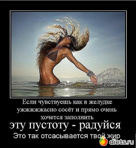 31 ����: ���������