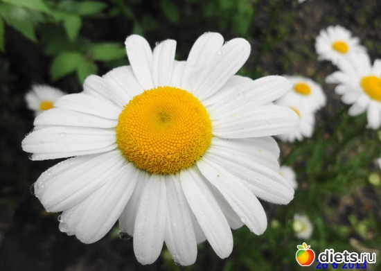 57 ����: ����� � ����-�������� ����!