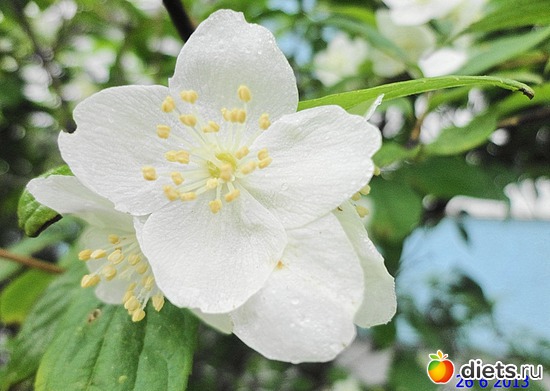 58 ����: ����� � ����-�������� ����!