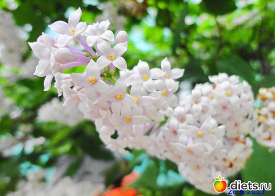 59 ����: ����� � ����-�������� ����!