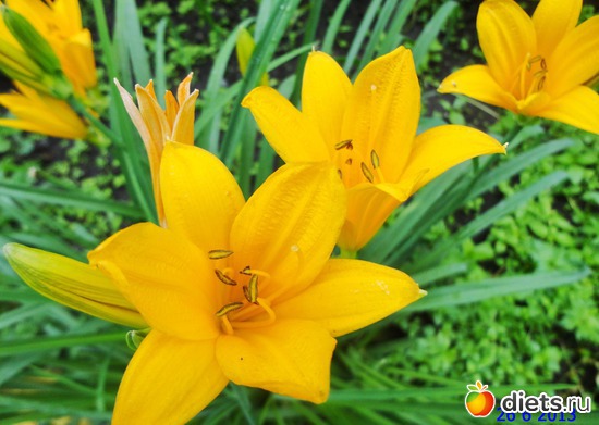 60 ����: ����� � ����-�������� ����!