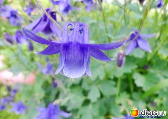 63 ����: ����� � ����-�������� ����!