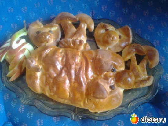 5 ����: ��� ���������