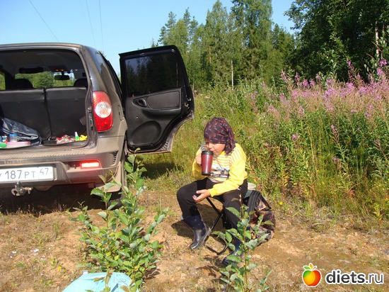 7 фото: Черника