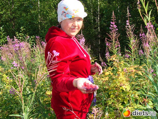 8 фото: Черника