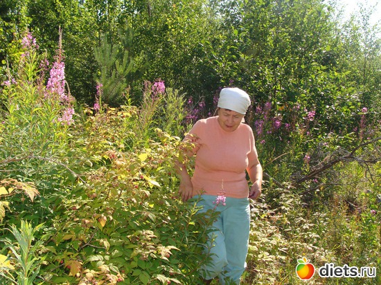 9 фото: Черника