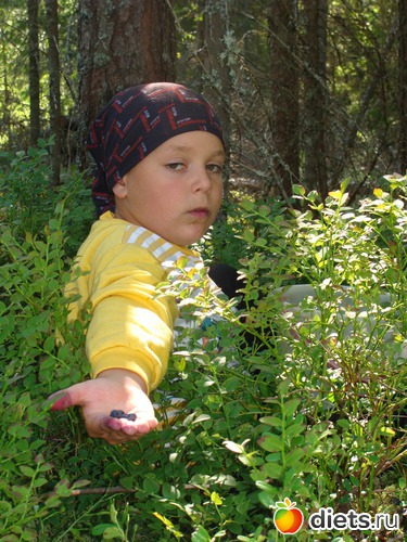 15 фото: Черника