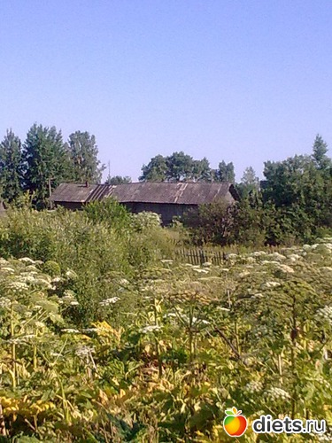 6 ����: ���� 2013