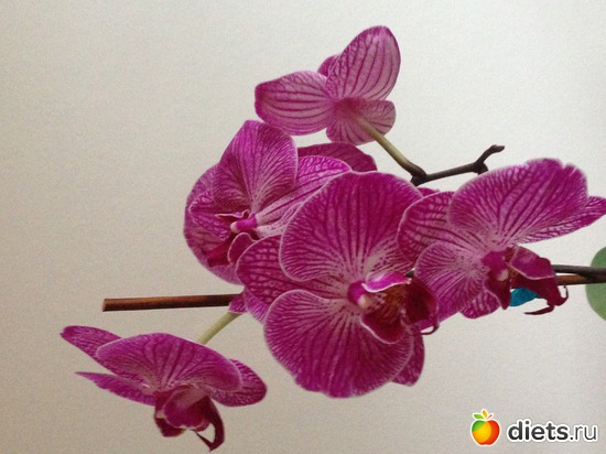 2 ����: ��� �������!!