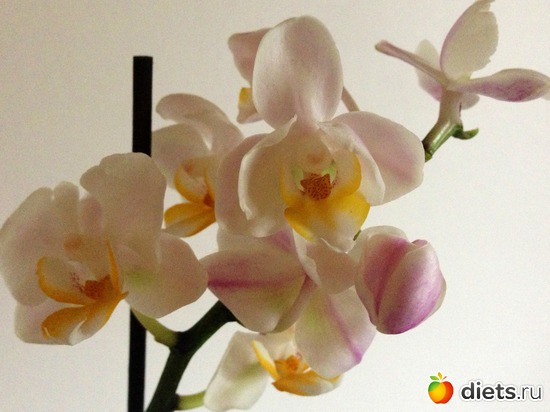 3 ����: ��� �������!!