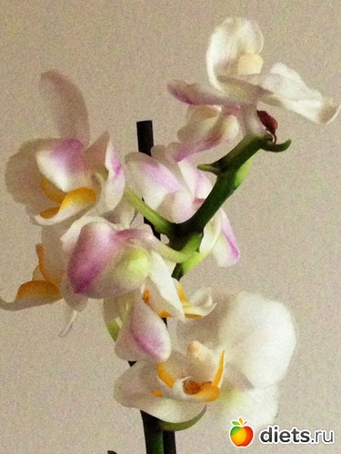 5 ����: ��� �������!!