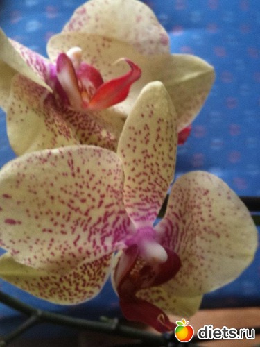 6 ����: ��� �������!!