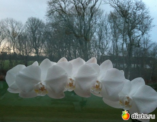 7 ����: ��� �������!!