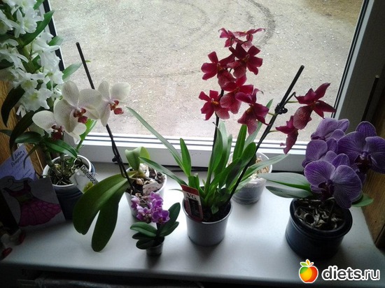 8 ����: ��� �������!!