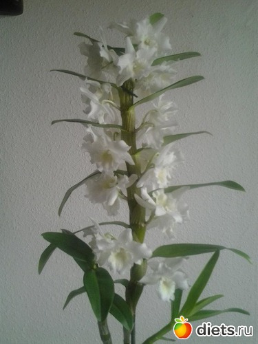 9 ����: ��� �������!!