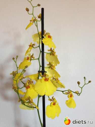 10 ����: ��� �������!!