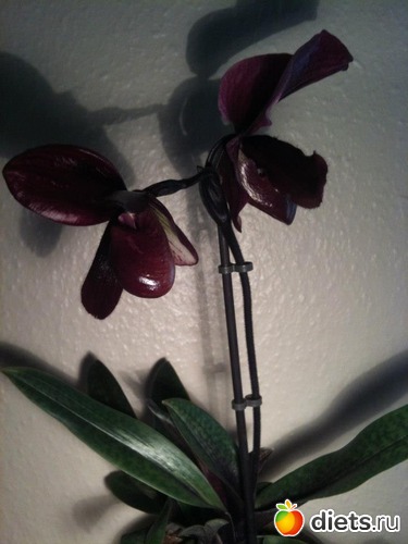 11 ����: ��� �������!!