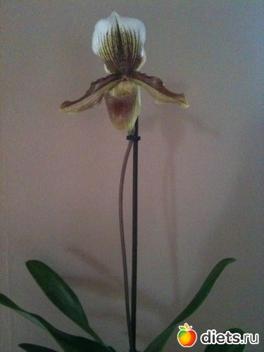 12 ����: ��� �������!!