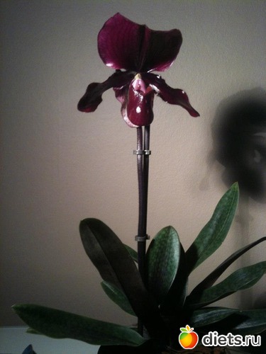 14 ����: ��� �������!!