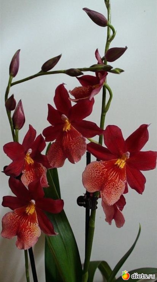 16 ����: ��� �������!!