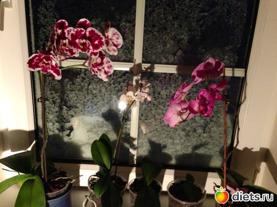 17 ����: ��� �������!!