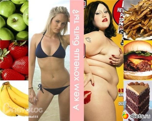 5 ����: ��� ��������� ����� ����������