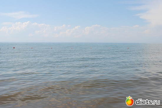 1 ����: ������!