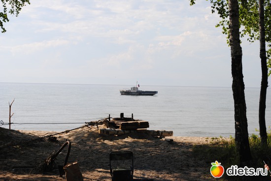 5 ����: ������!