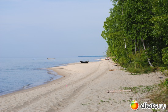 7 ����: ������!