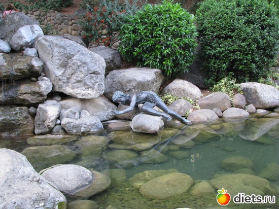 3 ����: ��������