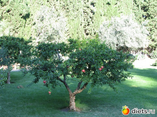 5 ����: ��������