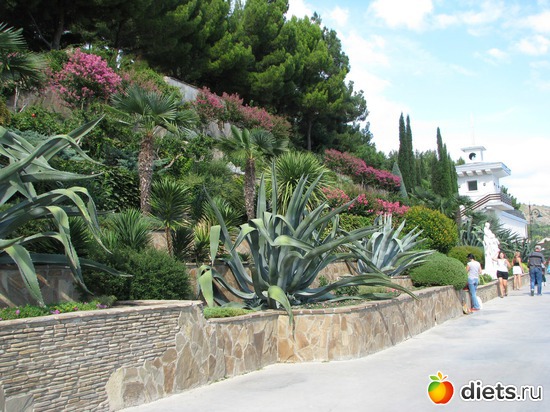 10 ����: ��������