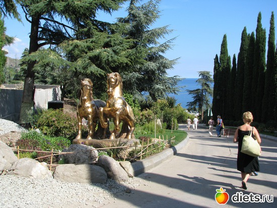 11 ����: ��������