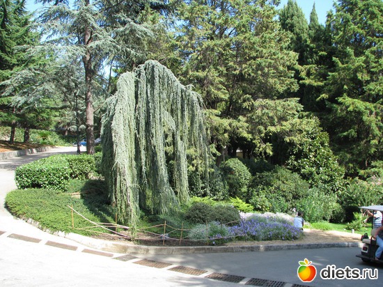 12 ����: ��������