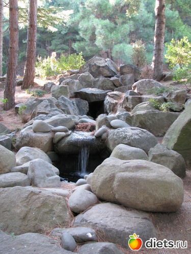 15 ����: ��������