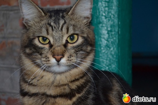 6 ����: �������)))