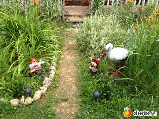 1 ����: ���� ����