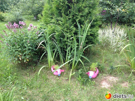 2 ����: ���� ����