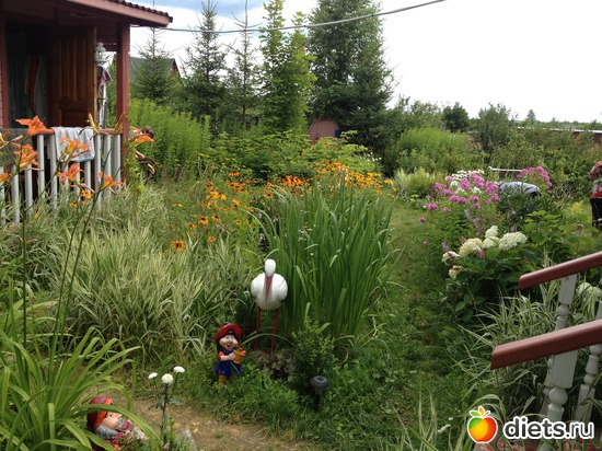 3 ����: ���� ����