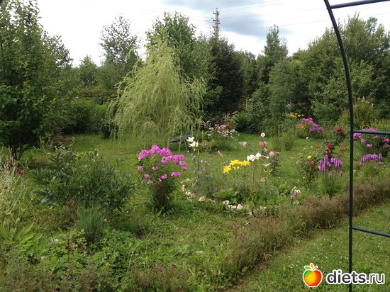 5 ����: ���� ����