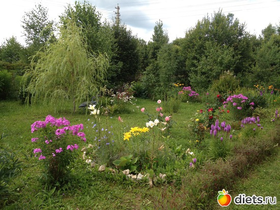 6 ����: ���� ����