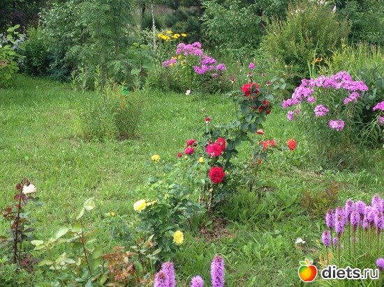 8 ����: ���� ����