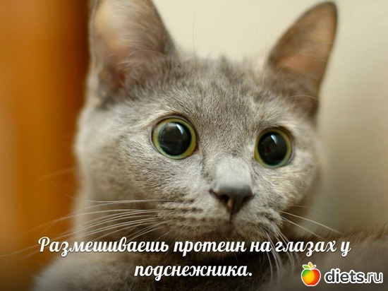 522 фото: Для постов