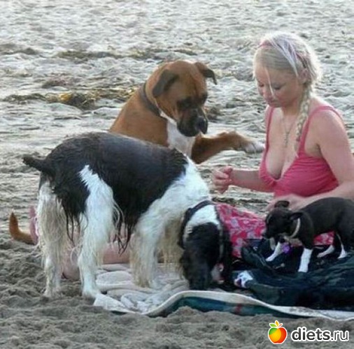 13 фото: -про пляж