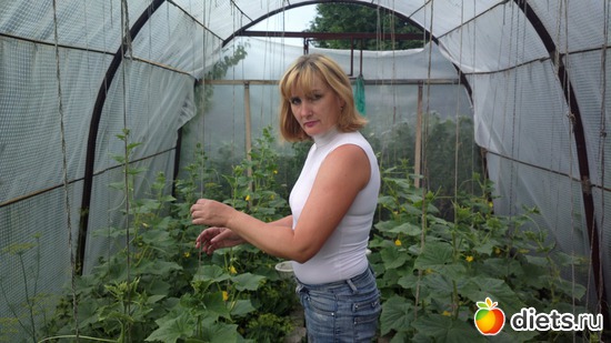 1 фото: промежуточный