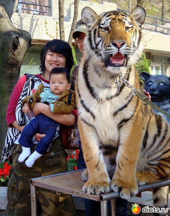 А сейчас вылетит птичка!, альбом: Про китайцев