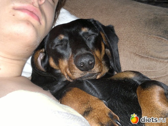 11 фото: промежуточный